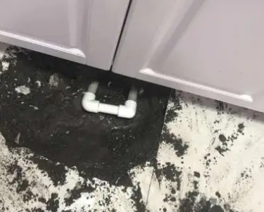 西岗查漏水哪家好
