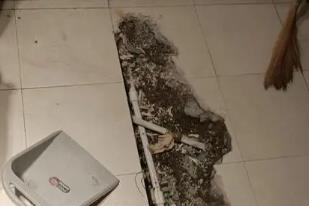 西岗卫生间漏水检测电话